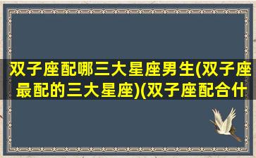 双子座配哪三大星座男生(双子座最配的三大星座)(双子座配合什么星座男生)