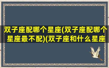 双子座配哪个星座(双子座配哪个星座最不配)(双子座和什么星座最绝配)
