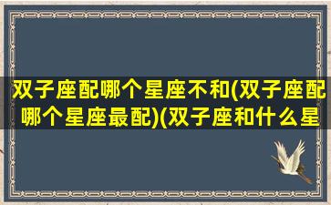 双子座配哪个星座不和(双子座配哪个星座最配)(双子座和什么星座不合适)