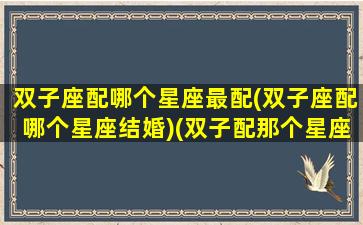 双子座配哪个星座最配(双子座配哪个星座结婚)(双子配那个星座)