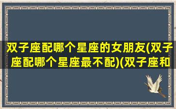 双子座配哪个星座的女朋友(双子座配哪个星座最不配)(双子座和什么座最配女朋友)