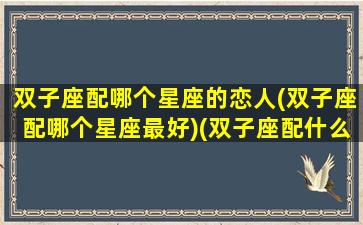 双子座配哪个星座的恋人(双子座配哪个星座最好)(双子座配什么星座的男朋友)