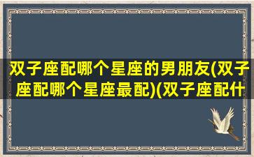 双子座配哪个星座的男朋友(双子座配哪个星座最配)(双子座配什么座的男生)