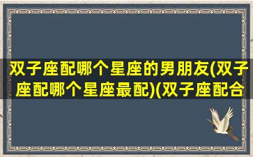 双子座配哪个星座的男朋友(双子座配哪个星座最配)(双子座配合什么星座男生)