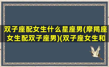 双子座配女生什么星座男(摩羯座女生配双子座男)(双子座女生和摩羯座配吗)