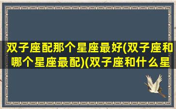 双子座配那个星座最好(双子座和哪个星座最配)(双子座和什么星座婚配最好)