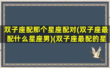 双子座配那个星座配对(双子座最配什么星座男)(双子座最配的星座是什么星座配对)