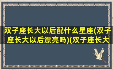 双子座长大以后配什么星座(双子座长大以后漂亮吗)(双子座长大后好看吗)