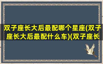 双子座长大后最配哪个星座(双子座长大后最配什么车)(双子座长大后会跟谁结婚)