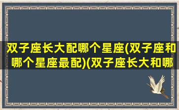 双子座长大配哪个星座(双子座和哪个星座最配)(双子座长大和哪个明星一样美丽)