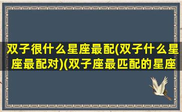 双子很什么星座最配(双子什么星座最配对)(双子座最匹配的星座是什么)