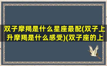 双子摩羯是什么星座最配(双子上升摩羯是什么感受)(双子座的上升星座摩羯座)