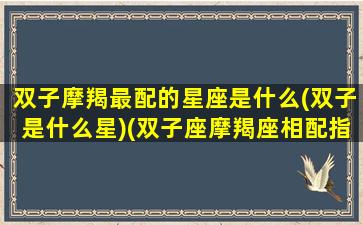 双子摩羯最配的星座是什么(双子是什么星)(双子座摩羯座相配指数)