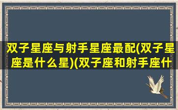 双子星座与射手星座最配(双子星座是什么星)(双子座和射手座什么座最配)