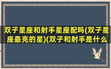 双子星座和射手星座配吗(双子星座最亮的星)(双子和射手是什么星座)