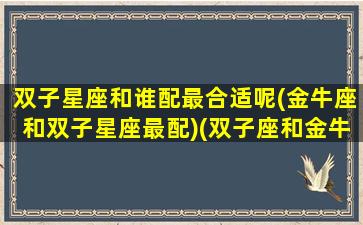 双子星座和谁配最合适呢(金牛座和双子星座最配)(双子座和金牛座的匹配度是多少)