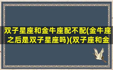 双子星座和金牛座配不配(金牛座之后是双子星座吗)(双子座和金牛座的匹配程度)