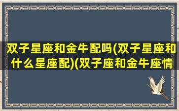 双子星座和金牛配吗(双子星座和什么星座配)(双子座和金牛座情侣配对指数)