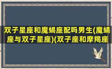 双子星座和魔蝎座配吗男生(魔蝎座与双子星座)(双子座和摩羯座的匹配率是多少)