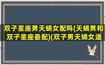 双子星座男天蝎女配吗(天蝎男和双子星座最配)(双子男天蝎女适合在一起吗)