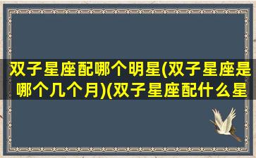 双子星座配哪个明星(双子星座是哪个几个月)(双子星座配什么星座最好)