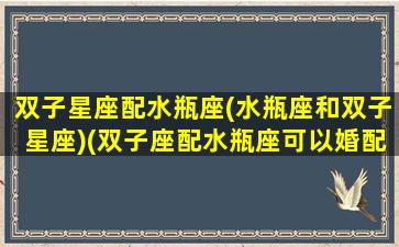 双子星座配水瓶座(水瓶座和双子星座)(双子座配水瓶座可以婚配吗)