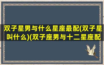 双子星男与什么星座最配(双子星叫什么)(双子座男与十二星座配对指数)