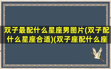 双子最配什么星座男图片(双子配什么星座合适)(双子座配什么座的男生)