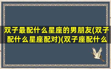 双子最配什么星座的男朋友(双子配什么星座配对)(双子座配什么男生的星座)