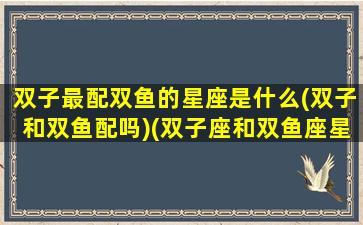 双子最配双鱼的星座是什么(双子和双鱼配吗)(双子座和双鱼座星座最配)