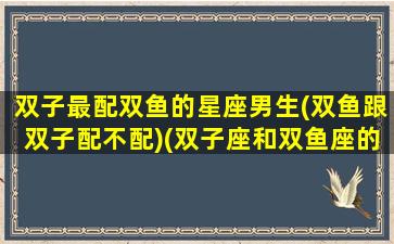 双子最配双鱼的星座男生(双鱼跟双子配不配)(双子座和双鱼座的匹配度是多少)