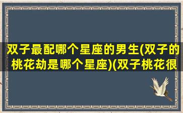 双子最配哪个星座的男生(双子的桃花劫是哪个星座)(双子桃花很旺吗)