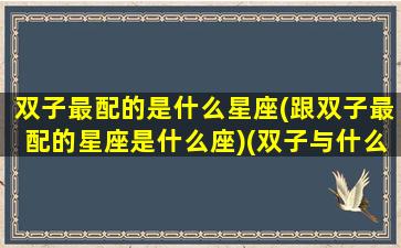 双子最配的是什么星座(跟双子最配的星座是什么座)(双子与什么星座最配对)