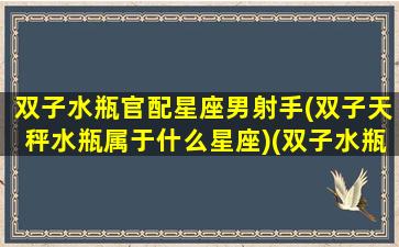 双子水瓶官配星座男射手(双子天秤水瓶属于什么星座)(双子水瓶配对)