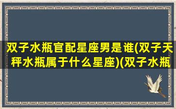 双子水瓶官配星座男是谁(双子天秤水瓶属于什么星座)(双子水瓶天秤三者关系)