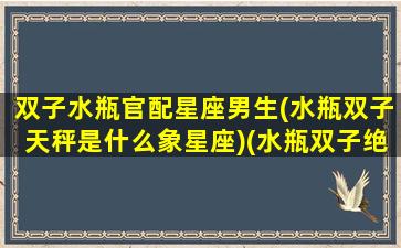 双子水瓶官配星座男生(水瓶双子天秤是什么象星座)(水瓶双子绝配)