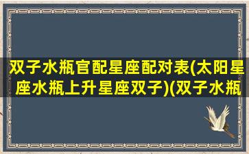 双子水瓶官配星座配对表(太阳星座水瓶上升星座双子)(双子水瓶真的配吗)