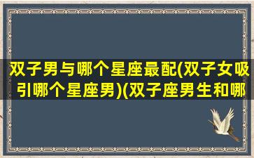 双子男与哪个星座最配(双子女吸引哪个星座男)(双子座男生和哪个星座女最合适)