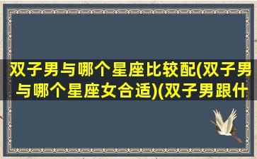 双子男与哪个星座比较配(双子男与哪个星座女合适)(双子男跟什么星座最合得来)