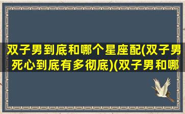 双子男到底和哪个星座配(双子男死心到底有多彻底)(双子男和哪个星座匹配)