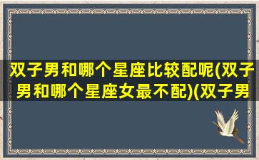 双子男和哪个星座比较配呢(双子男和哪个星座女最不配)(双子男跟那个星座最搭)