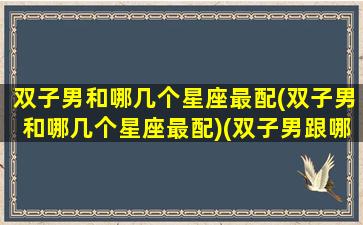 双子男和哪几个星座最配(双子男和哪几个星座最配)(双子男跟哪个星座最配)