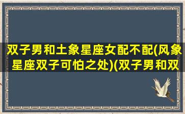 双子男和土象星座女配不配(风象星座双子可怕之处)(双子男和双子女相配吗)