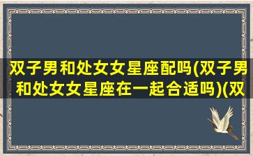 双子男和处女女星座配吗(双子男和处女女星座在一起合适吗)(双子男跟处女女相配吗)