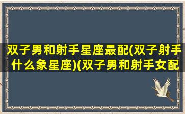 双子男和射手星座最配(双子射手什么象星座)(双子男和射手女配对吗)