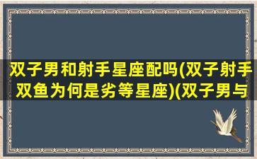 双子男和射手星座配吗(双子射手双鱼为何是劣等星座)(双子男与射手男谁更强)