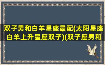 双子男和白羊星座最配(太阳星座白羊上升星座双子)(双子座男和白羊座女的配对指数)