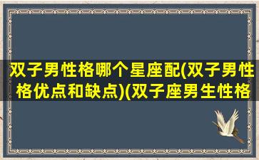 双子男性格哪个星座配(双子男性格优点和缺点)(双子座男生性格和什么星座最配)