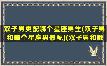 双子男更配哪个星座男生(双子男和哪个星座男最配)(双子男和哪个星座匹配)