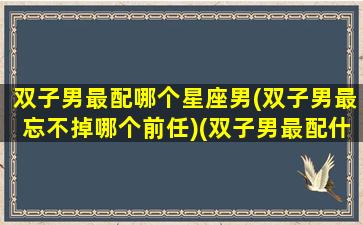 双子男最配哪个星座男(双子男最忘不掉哪个前任)(双子男最配什么星座的女生)